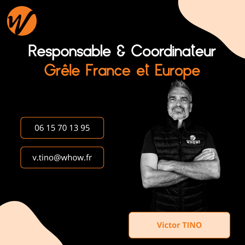Carte de visite d'un responsable et coordinateur de WOW! avec contact.